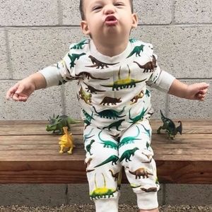 Dinosaur Print Sweater and Pants Set